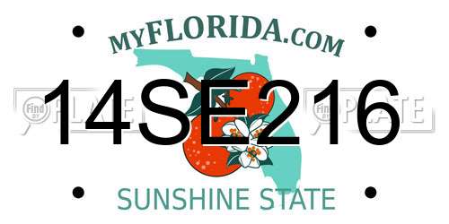 14SE216 Florida License Plate