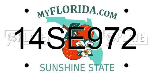 14SE972 Florida License Plate