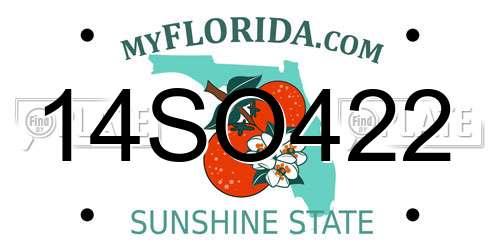 14SO422 Florida License Plate