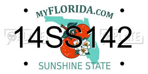 14SS142 Florida License Plate