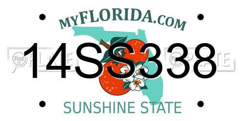14SS338 Florida License Plate