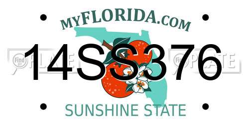 14SS376 Florida License Plate