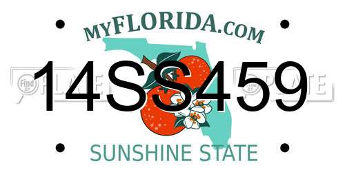 14SS459 Florida License Plate