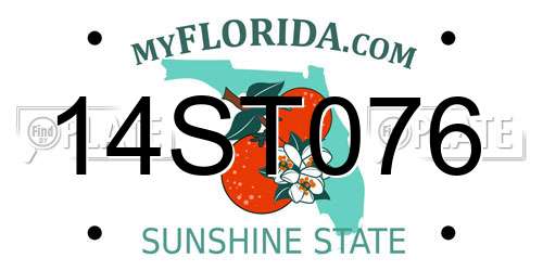 14ST076 Florida License Plate