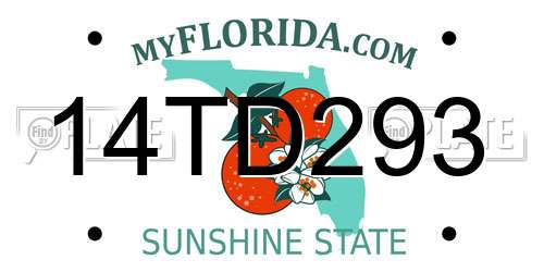 14TD293 Florida License Plate