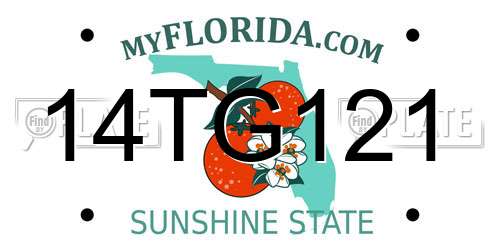 14TG121 Florida License Plate