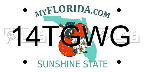 14TGWG Florida License Plate