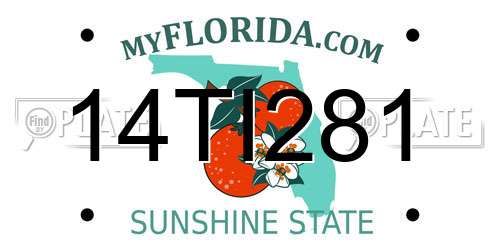 14TI281 Florida License Plate