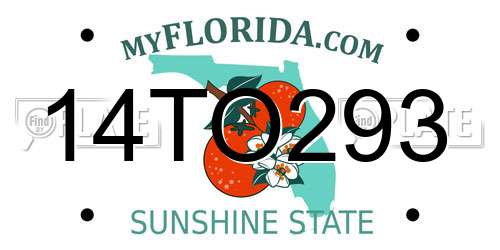 14TO293 Florida License Plate