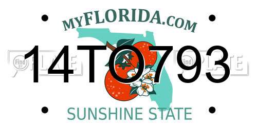 14TO793 Florida License Plate
