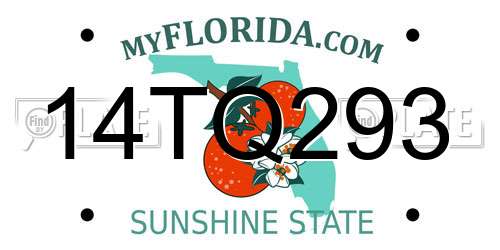 14TQ293 Florida License Plate