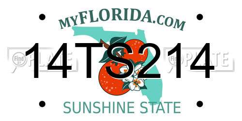14TS214 Florida License Plate