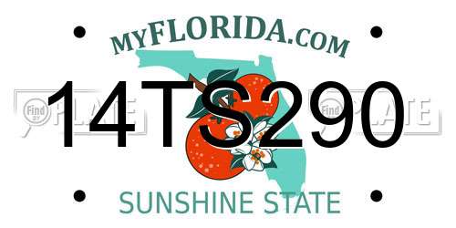 14TS290 Florida License Plate