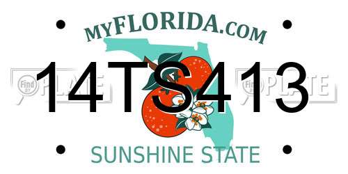 14TS413 Florida License Plate