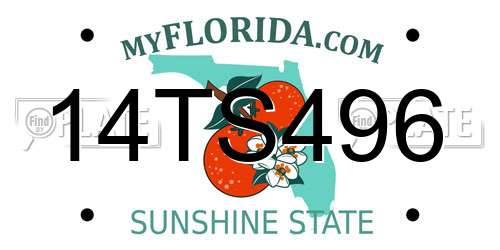 14TS496 Florida License Plate