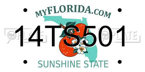 14TS501 Florida License Plate