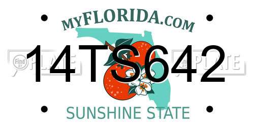 14TS642 Florida License Plate