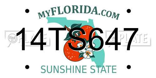 14TS647 Florida License Plate
