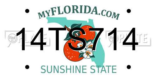 14TS714 Florida License Plate