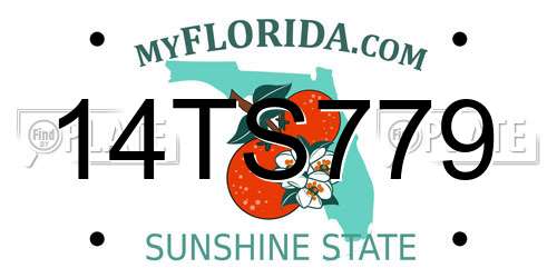 14TS779 Florida License Plate