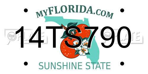 14TS790 Florida License Plate