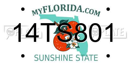 14TS801 Florida License Plate