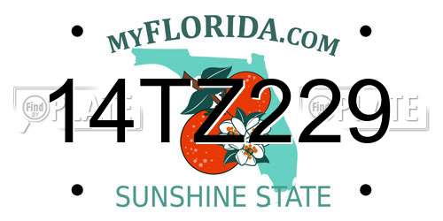 14TZ229 Florida License Plate