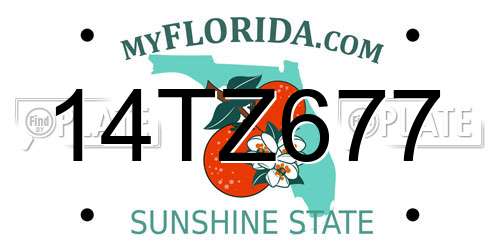14TZ677 Florida License Plate