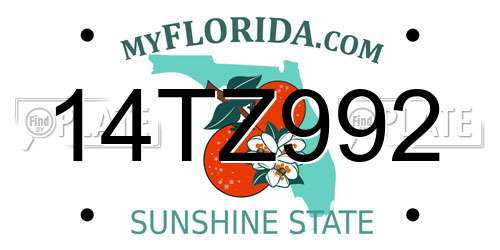 14TZ992 Florida License Plate