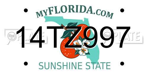 14TZ997 Florida License Plate