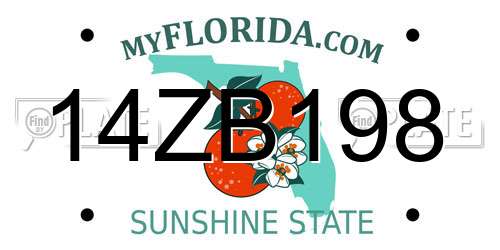 14ZB198 Florida License Plate
