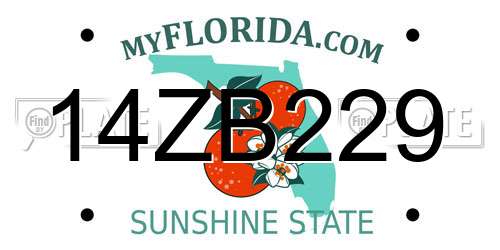 14ZB229 Florida License Plate