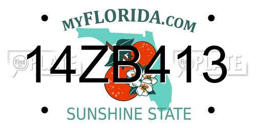 14ZB413 Florida License Plate