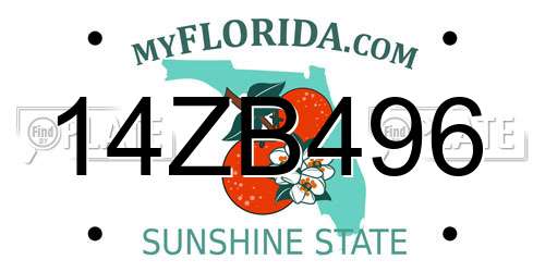 14ZB496 Florida License Plate