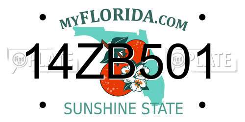 14ZB501 Florida License Plate
