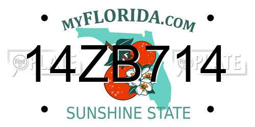 14ZB714 Florida License Plate