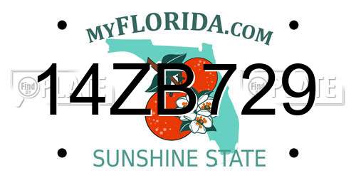 14ZB729 Florida License Plate