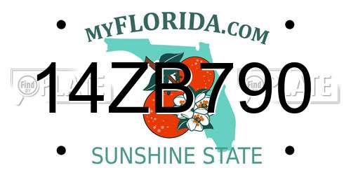 14ZB790 Florida License Plate