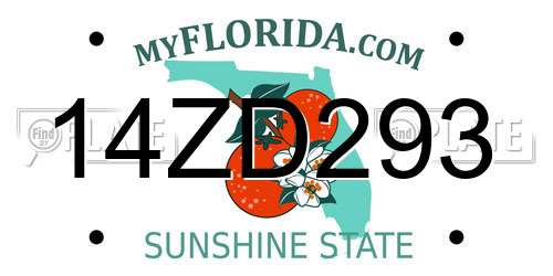 14ZD293 Florida License Plate
