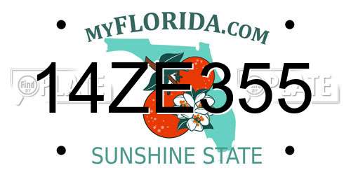 14ZE355 Florida License Plate
