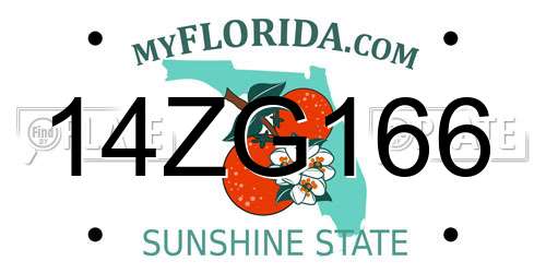 14ZG166 Florida License Plate