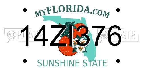 14ZI376 Florida License Plate