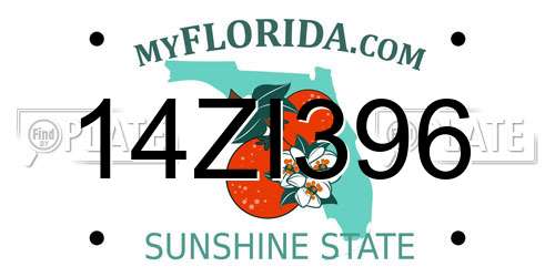 14ZI396 Florida License Plate