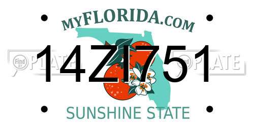 14ZI751 Florida License Plate