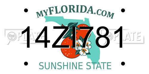 14ZI781 Florida License Plate