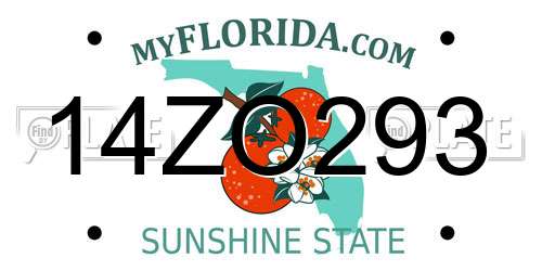 14ZO293 Florida License Plate