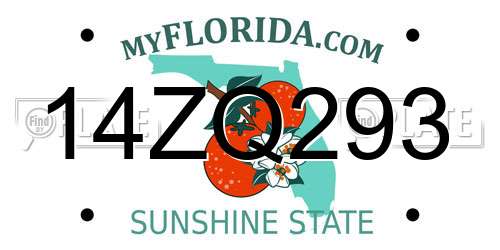 14ZQ293 Florida License Plate