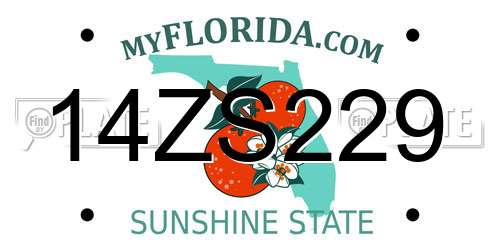 14ZS229 Florida License Plate