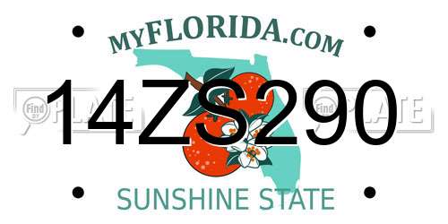 14ZS290 Florida License Plate