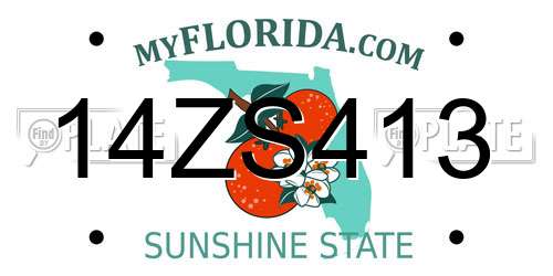 14ZS413 Florida License Plate